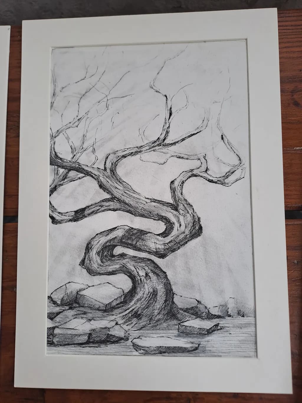 Twisted Tree and Rocks