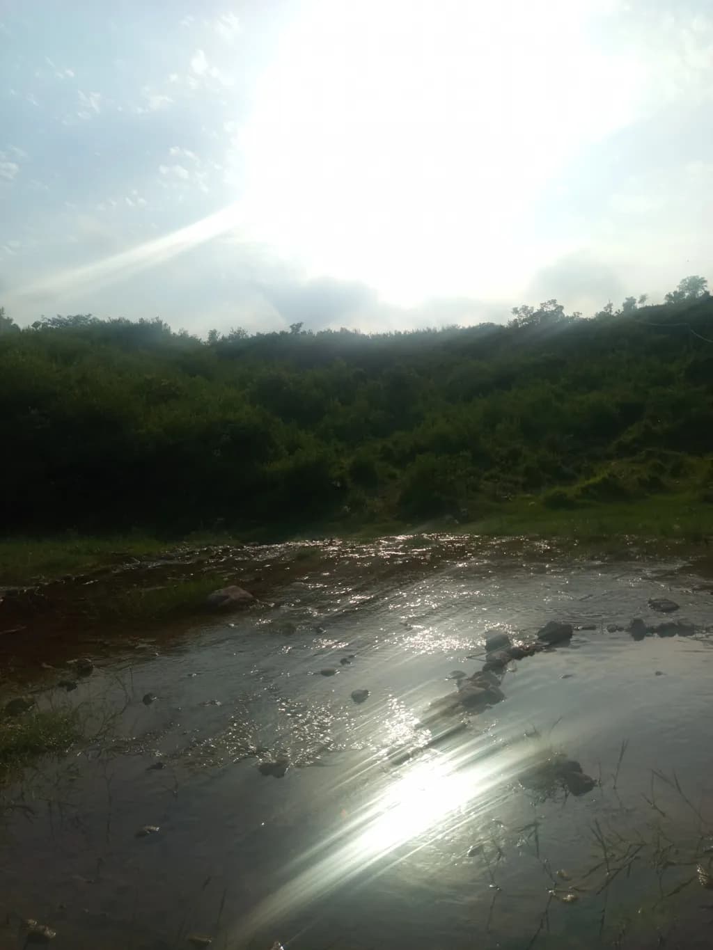 Stream Reflections