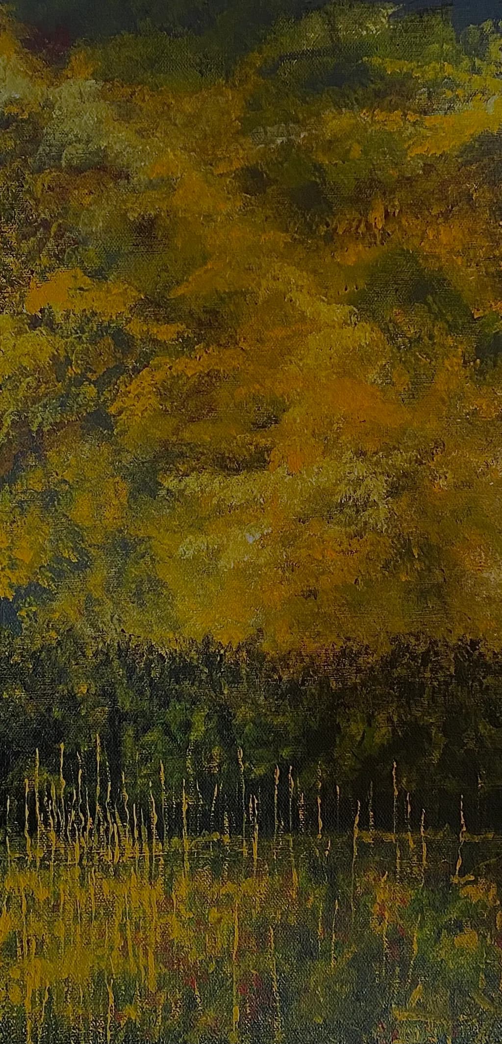 Autumn Forest Edge