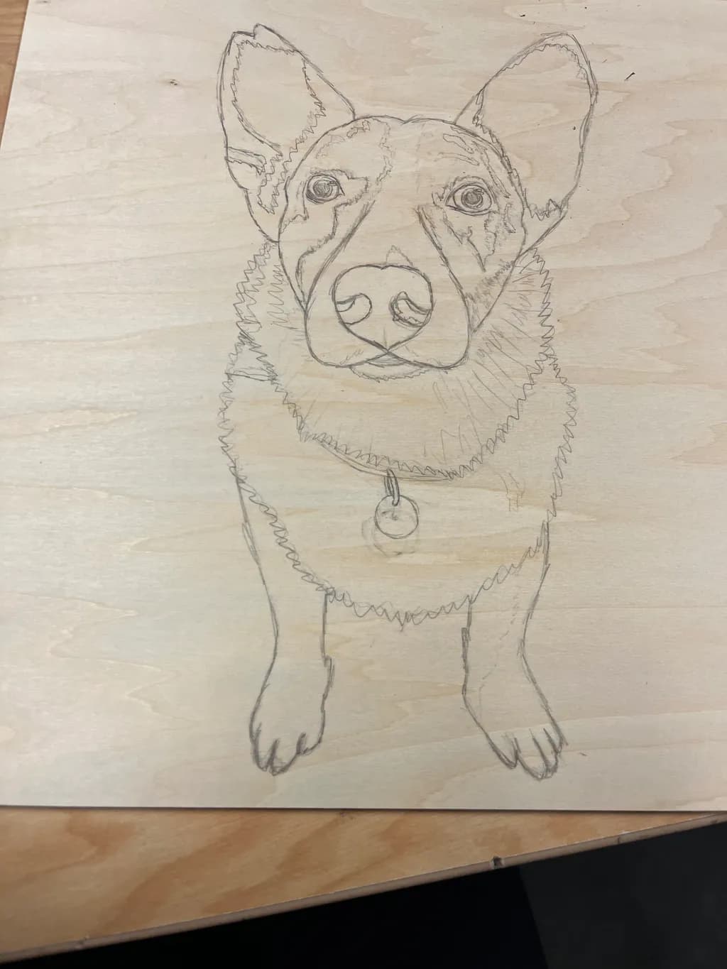 Curious Dog Sketch