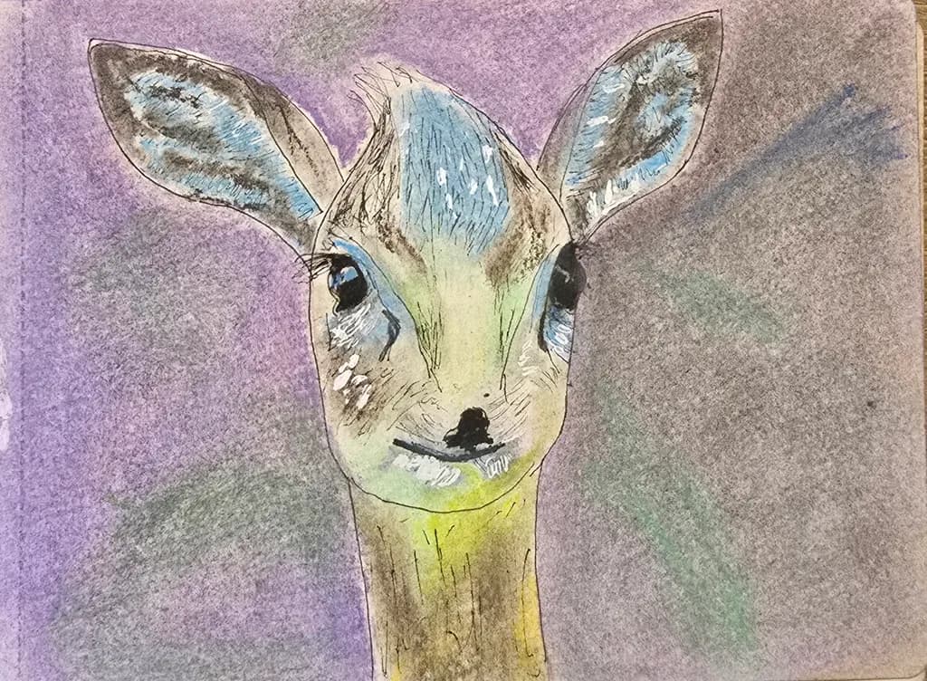 Colorful Giraffe Portrait