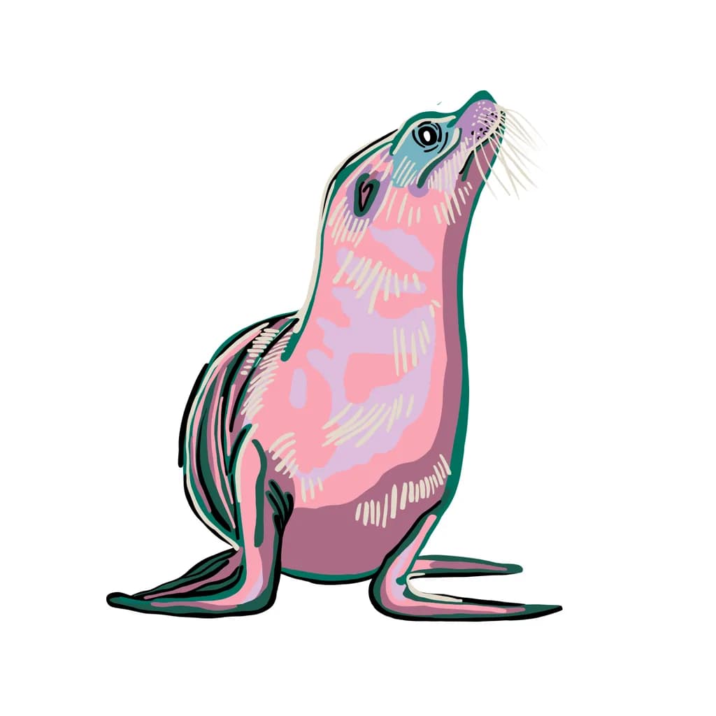 Sea Lion Portrait