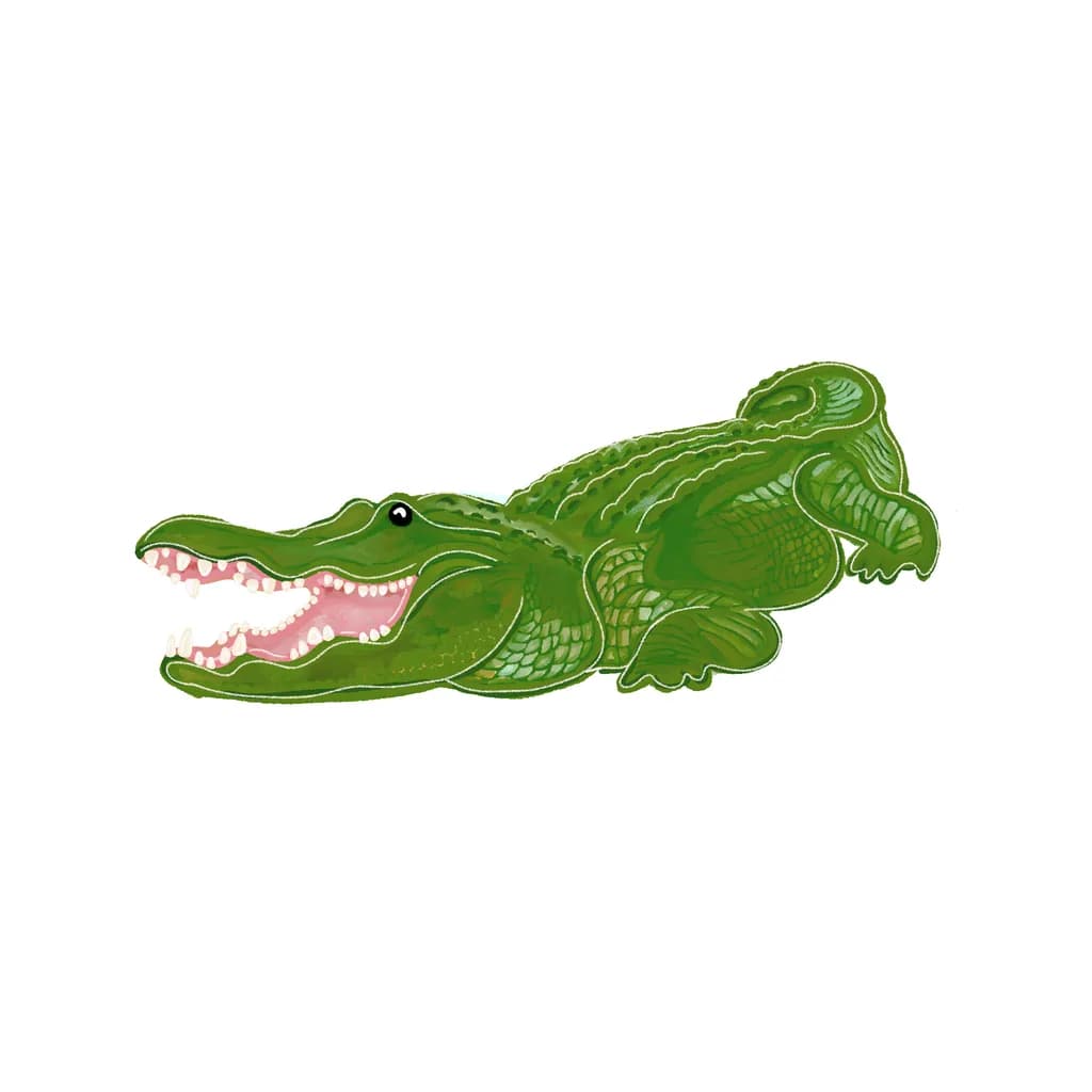 Smiling Alligator