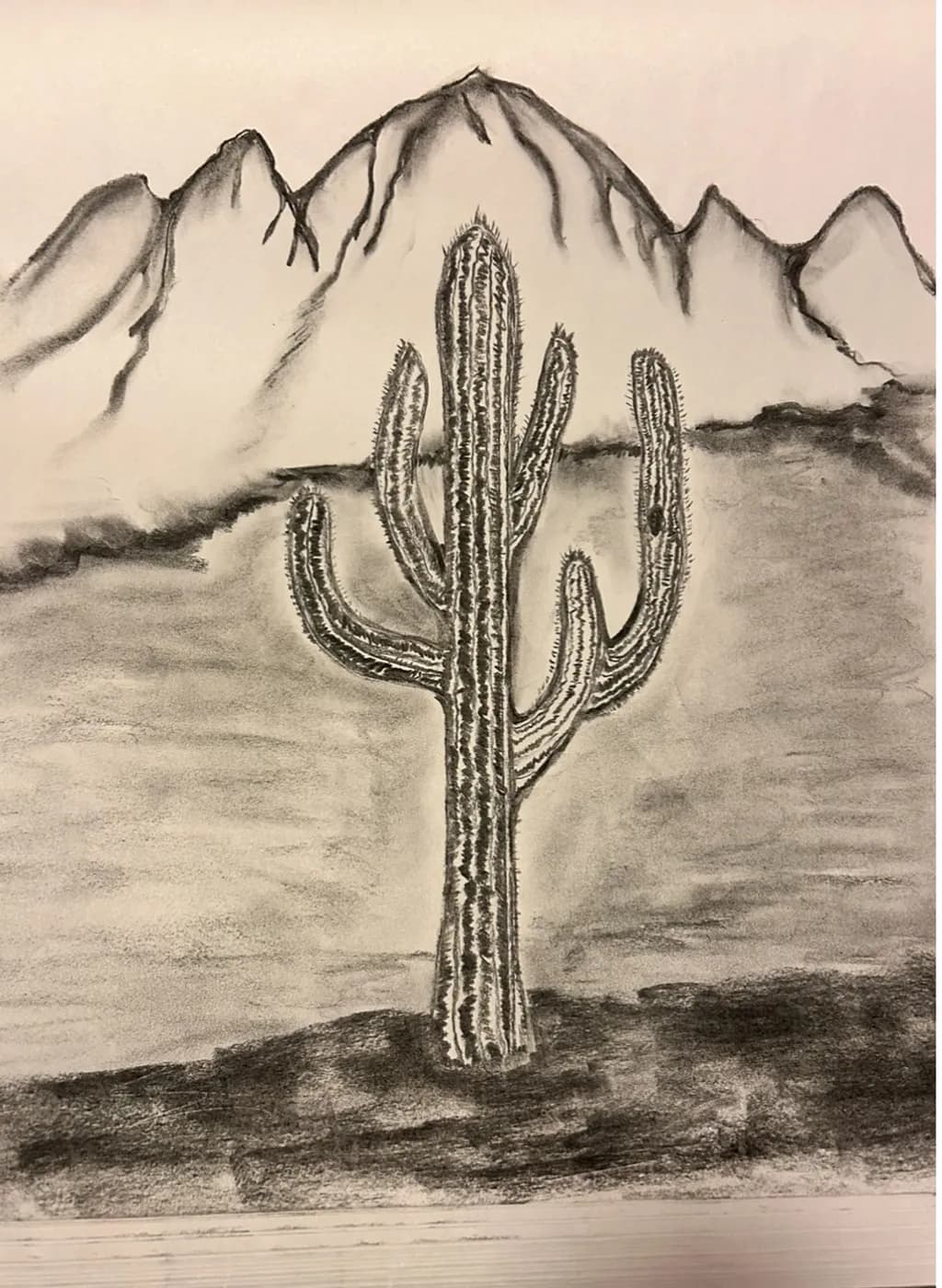 Desert Cactus Mountains