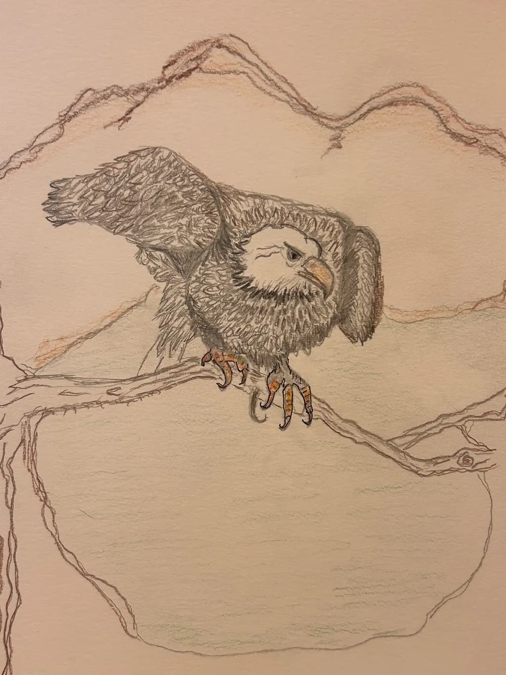 Mountain Eagle Vigil