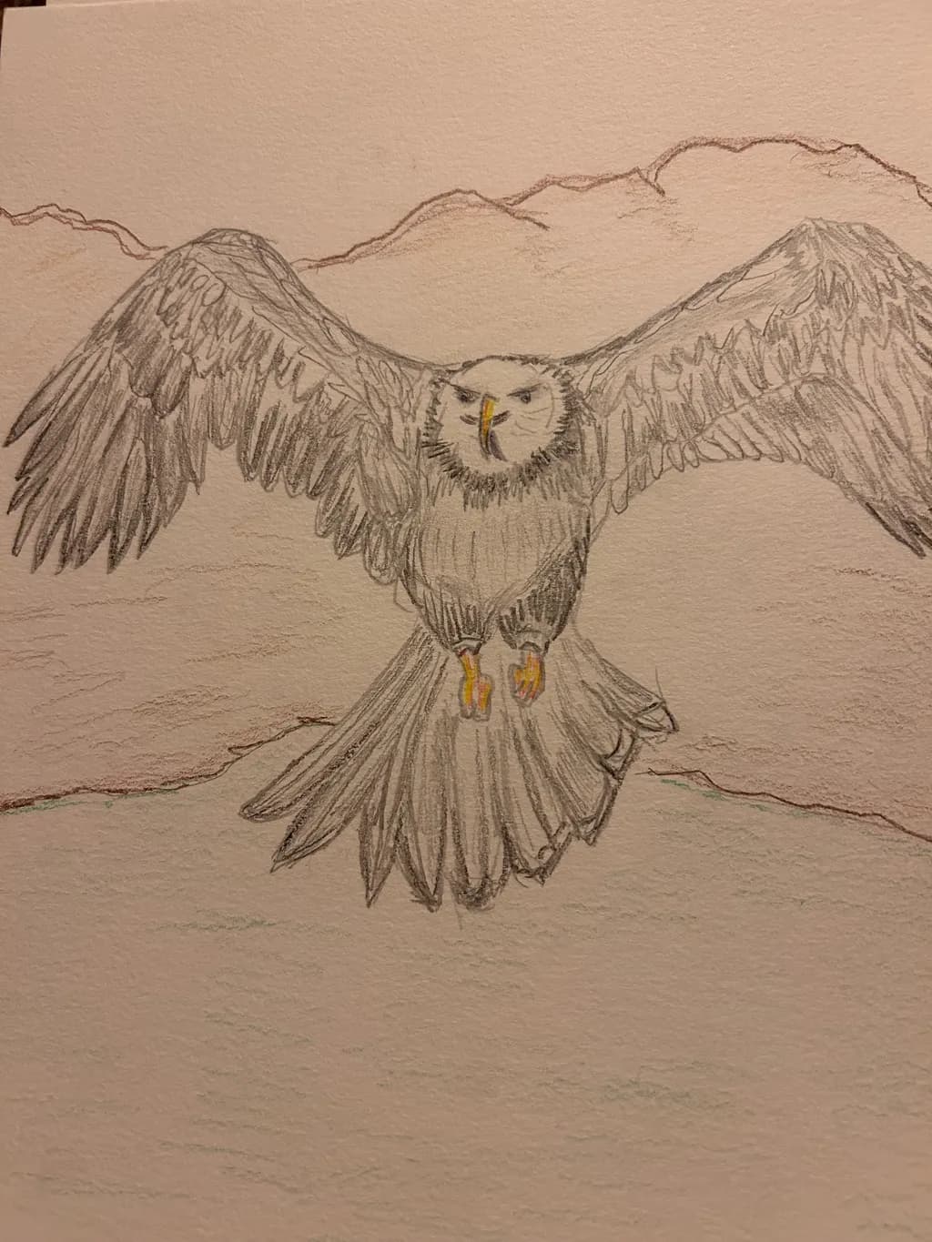 Mountain Hawk Flight