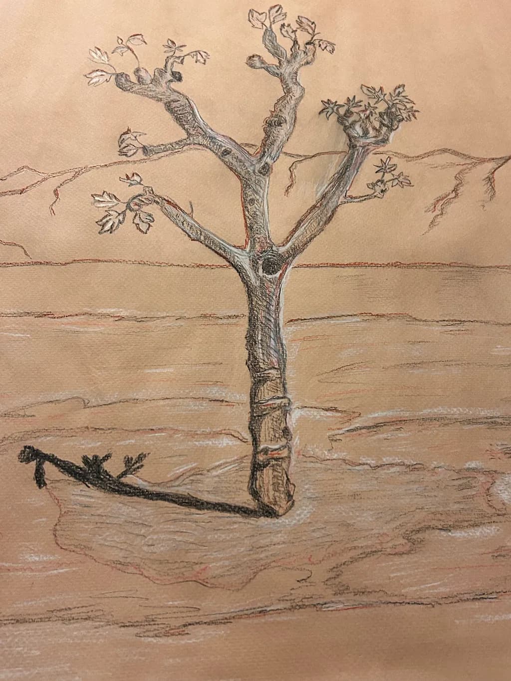 Silent Tree Shadow