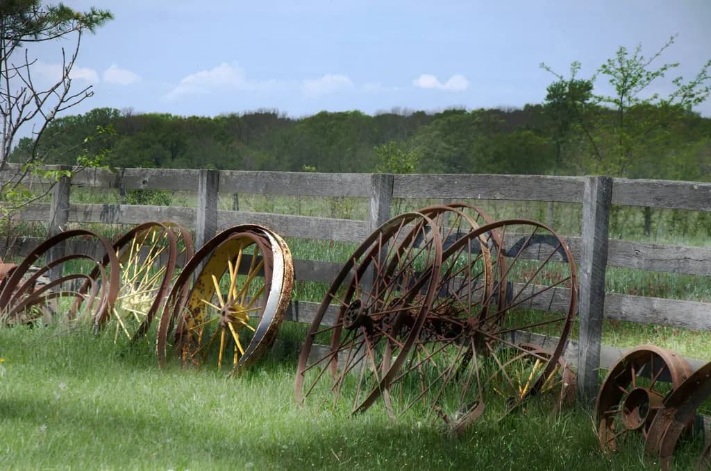 Rusty Wagon Wheels by Fence