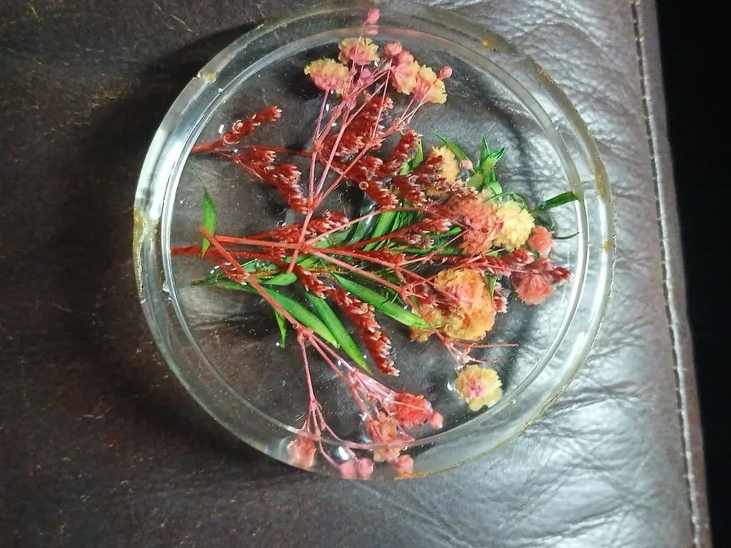 Pressed Flowers in Resin