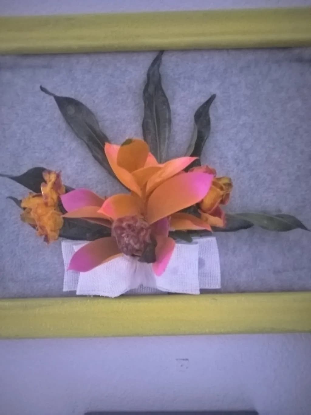 Orange Flower Display