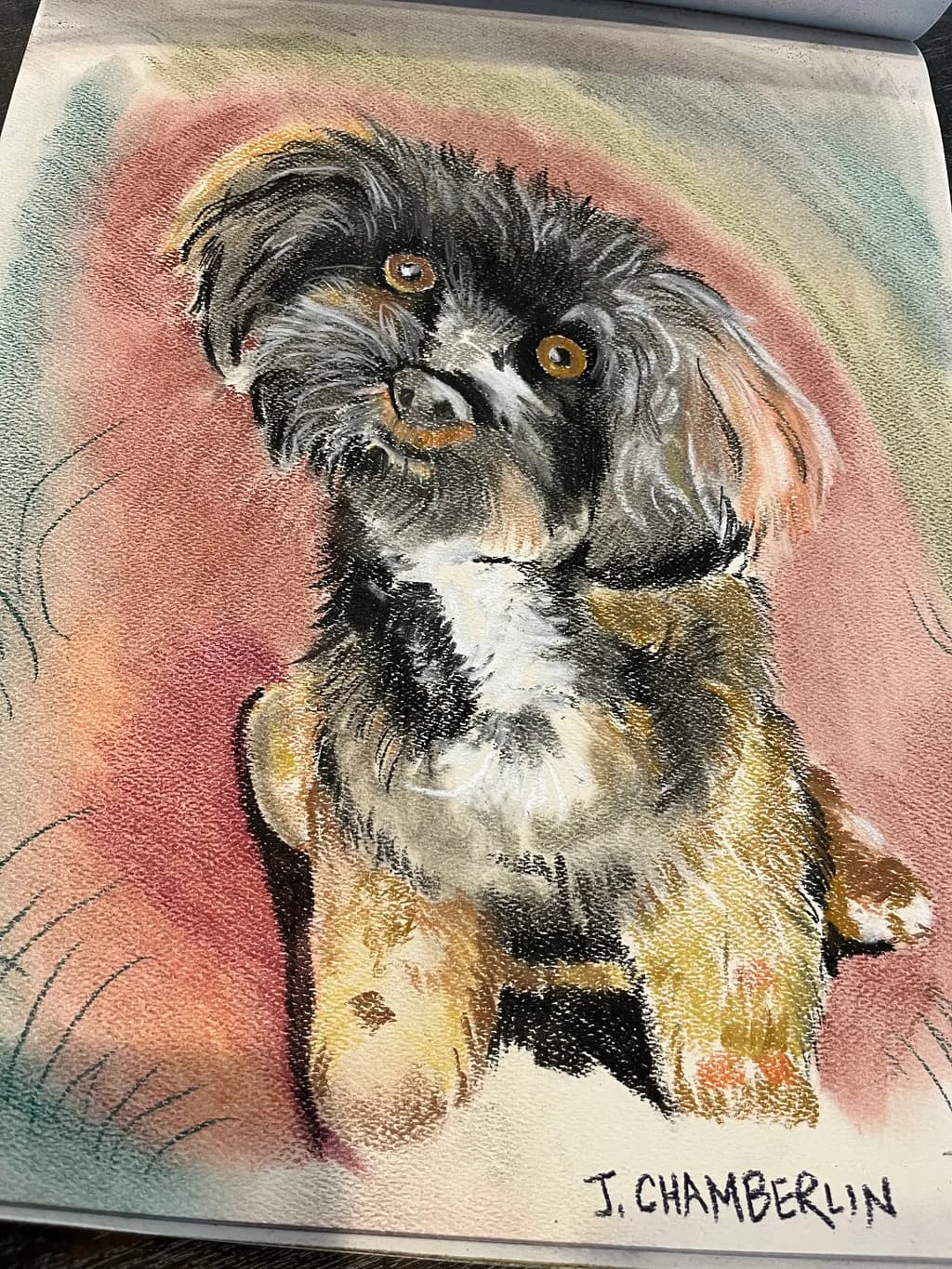 Colorful Dog Portrait