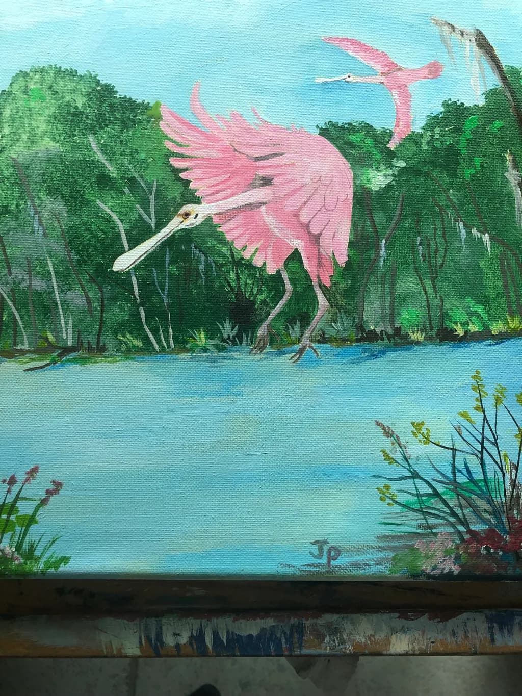 Roseate Spoonbill Flight