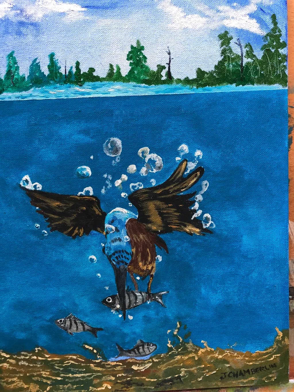 Underwater Bird Dive