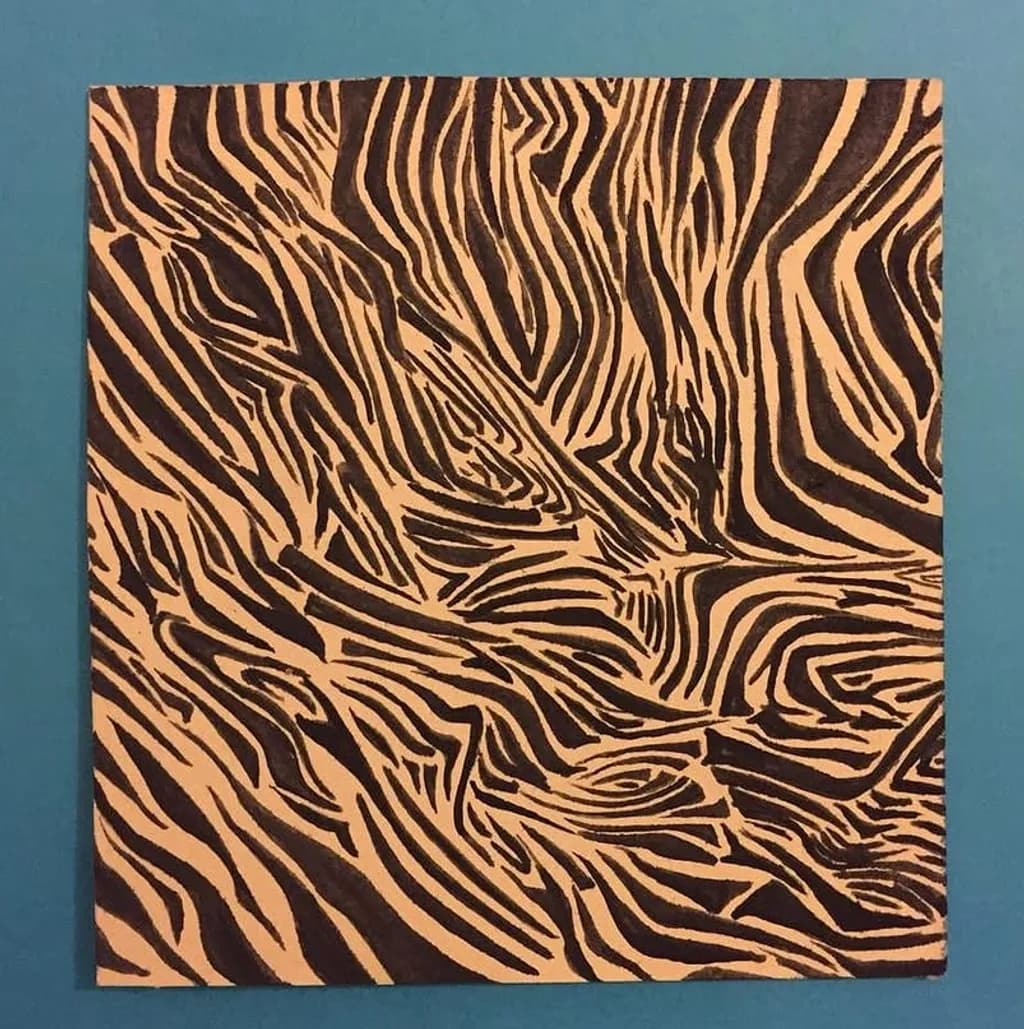 Zebra Stripes