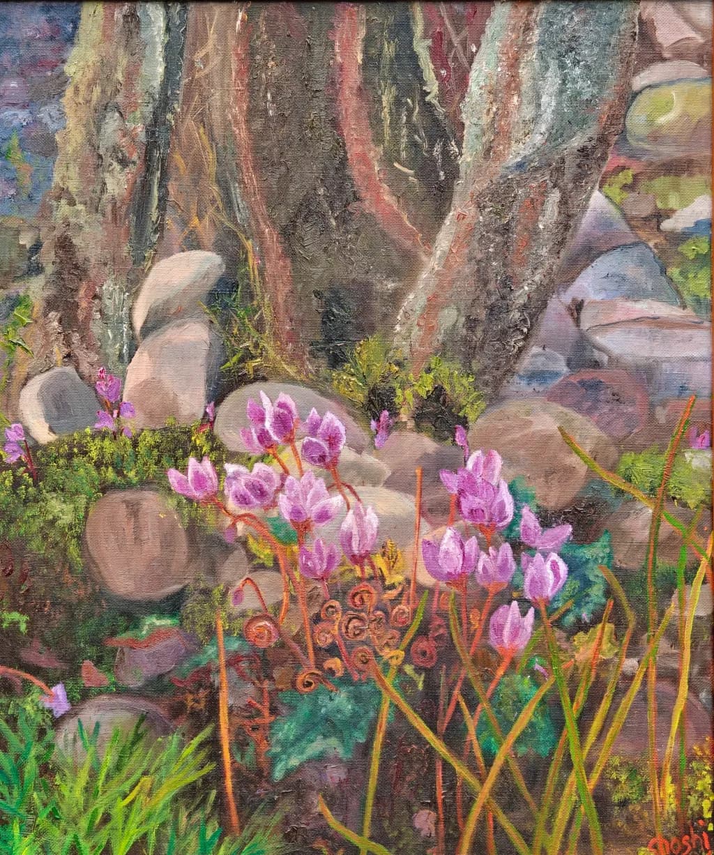 Tree and Pink Flowers