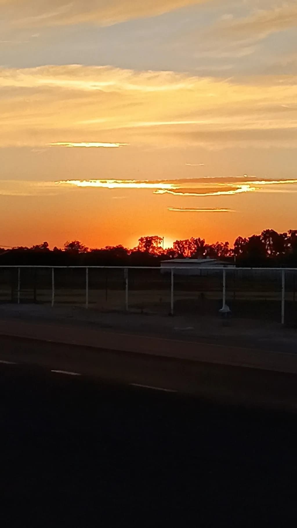 Sunset Silhouette