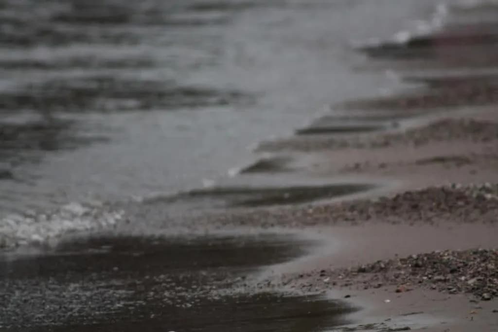 Wet Shoreline Waves