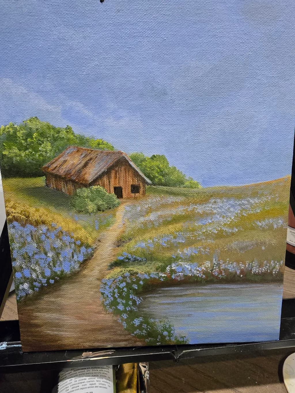 Countryside Path and Wildflowers