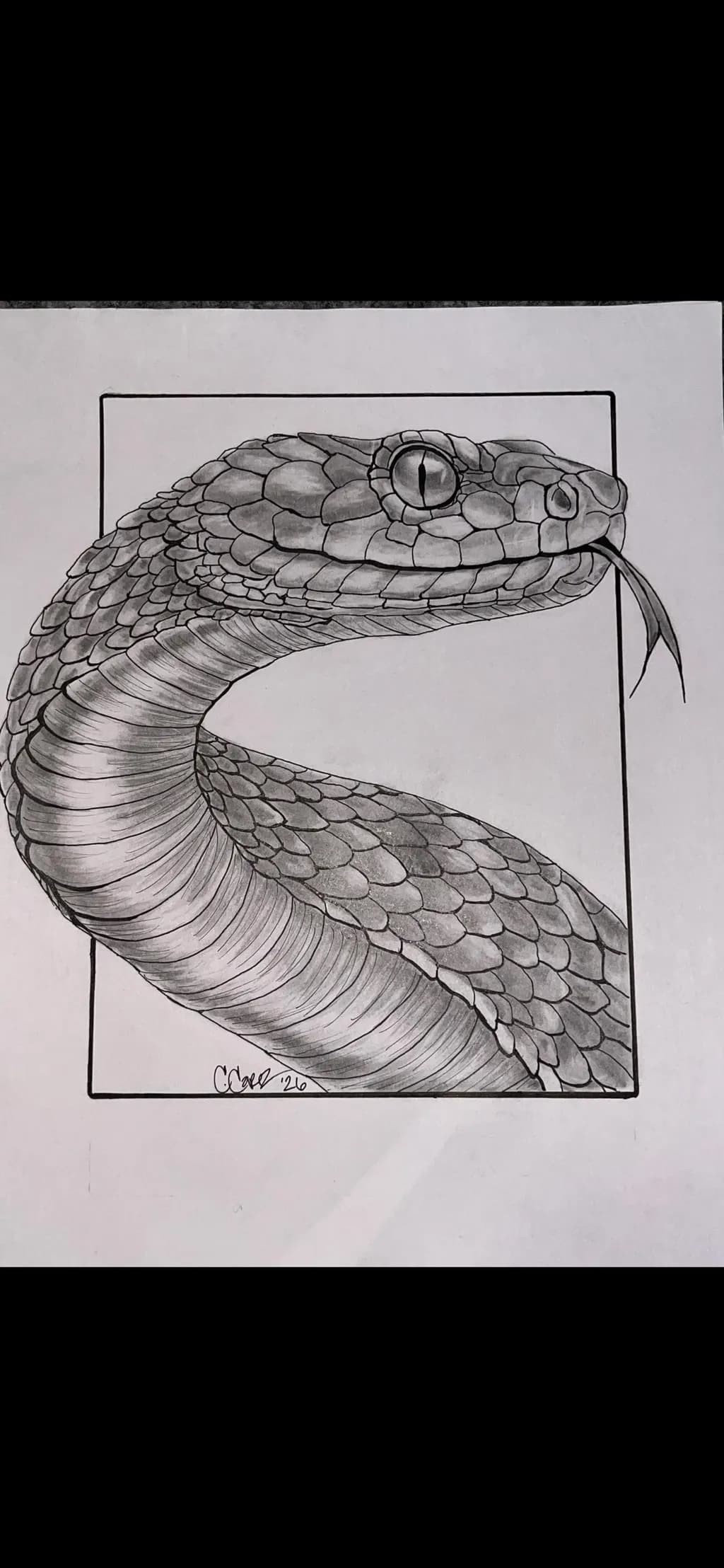 Serpent Focus