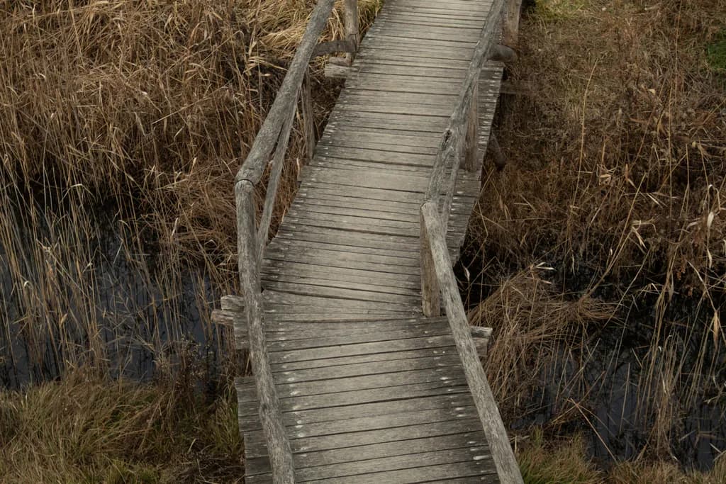 Wooden Bridge Path