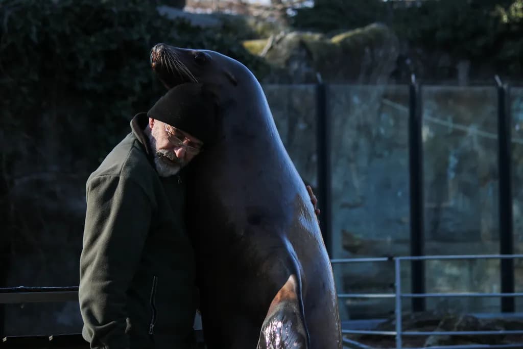 Seal Embrace