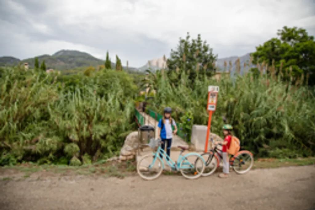 Bicycles by the Greenery