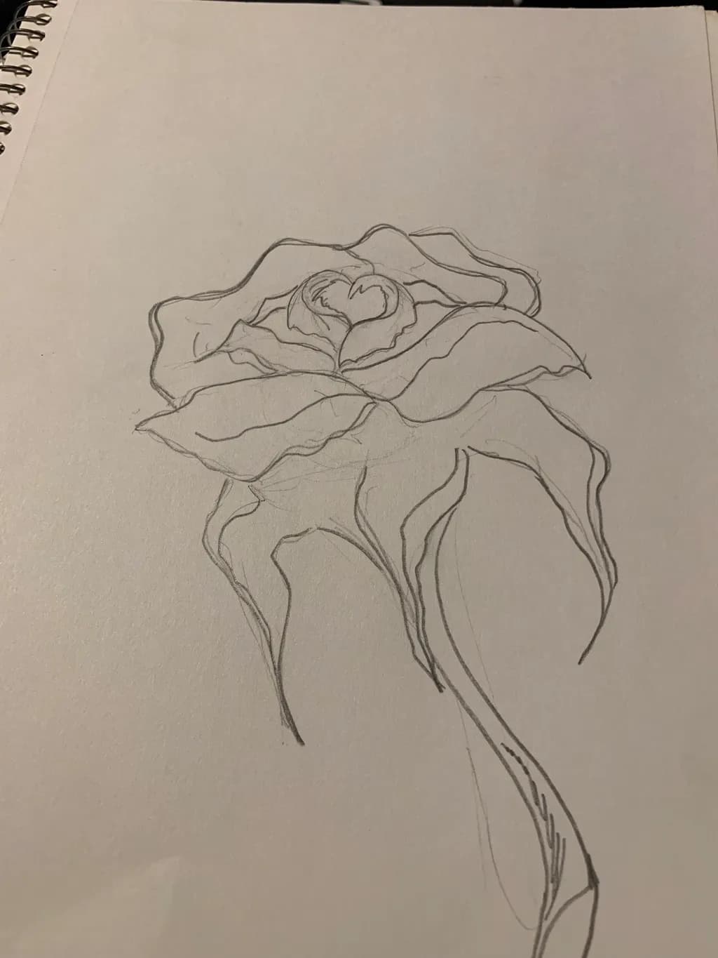 Delicate Rose Sketch