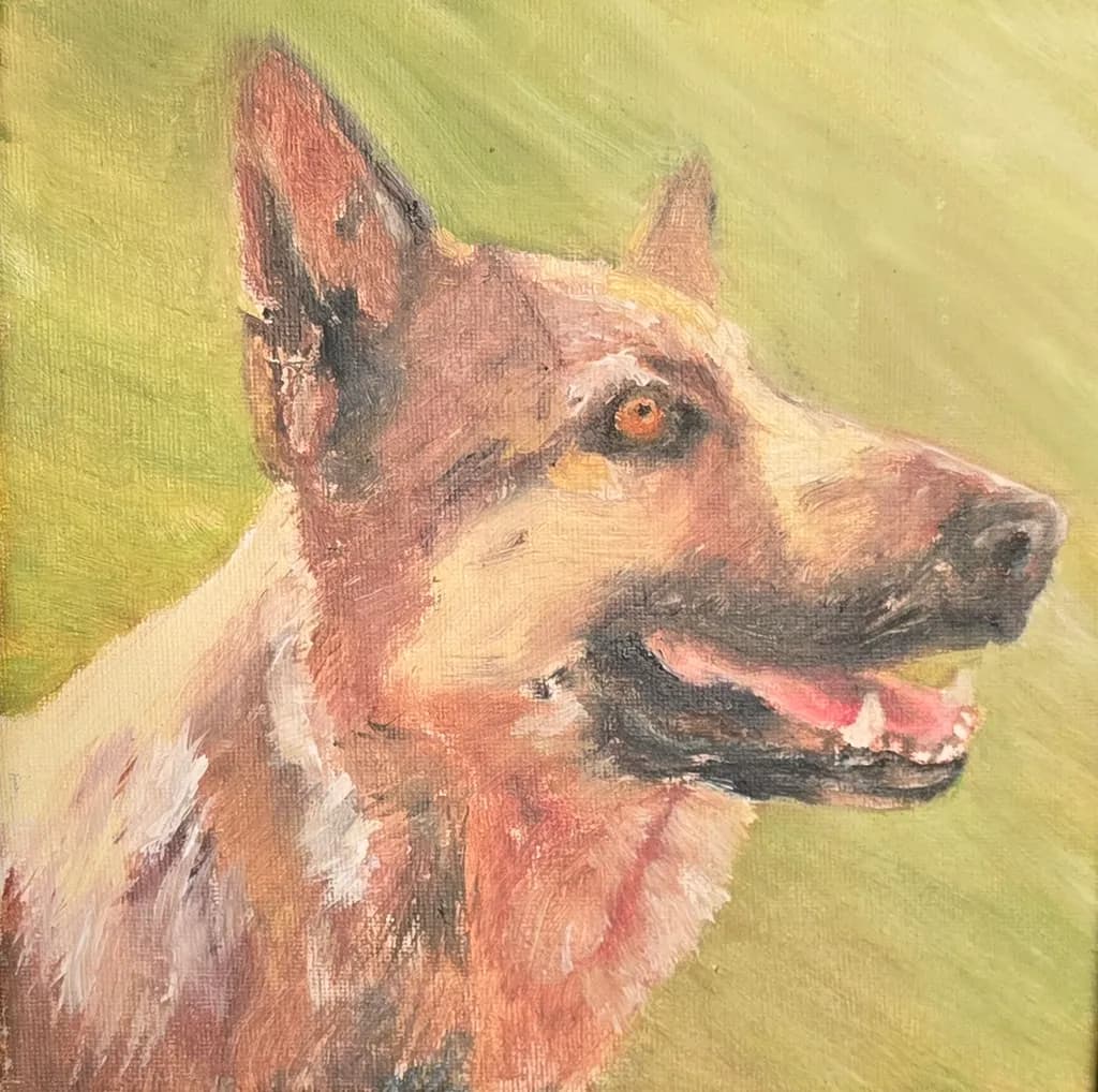 Alert German Shepherd