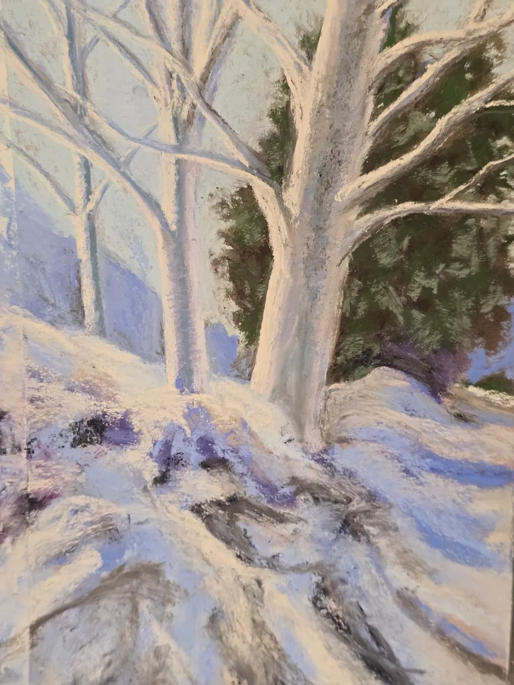 Winter Trees