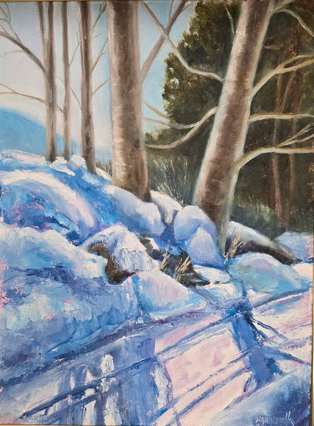 Winter Forest Shadows