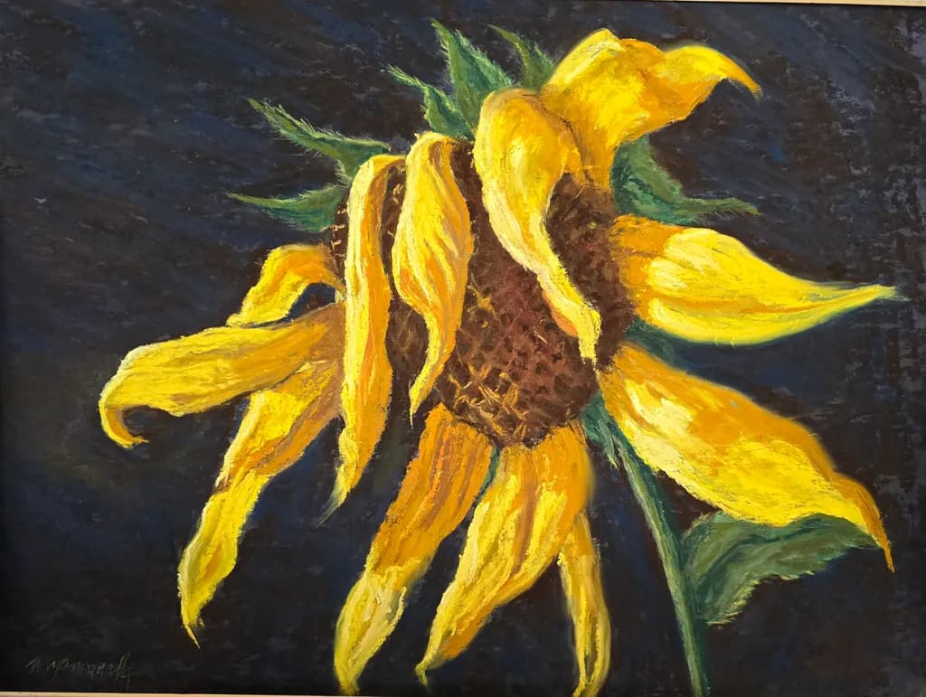 Waning Sunflower