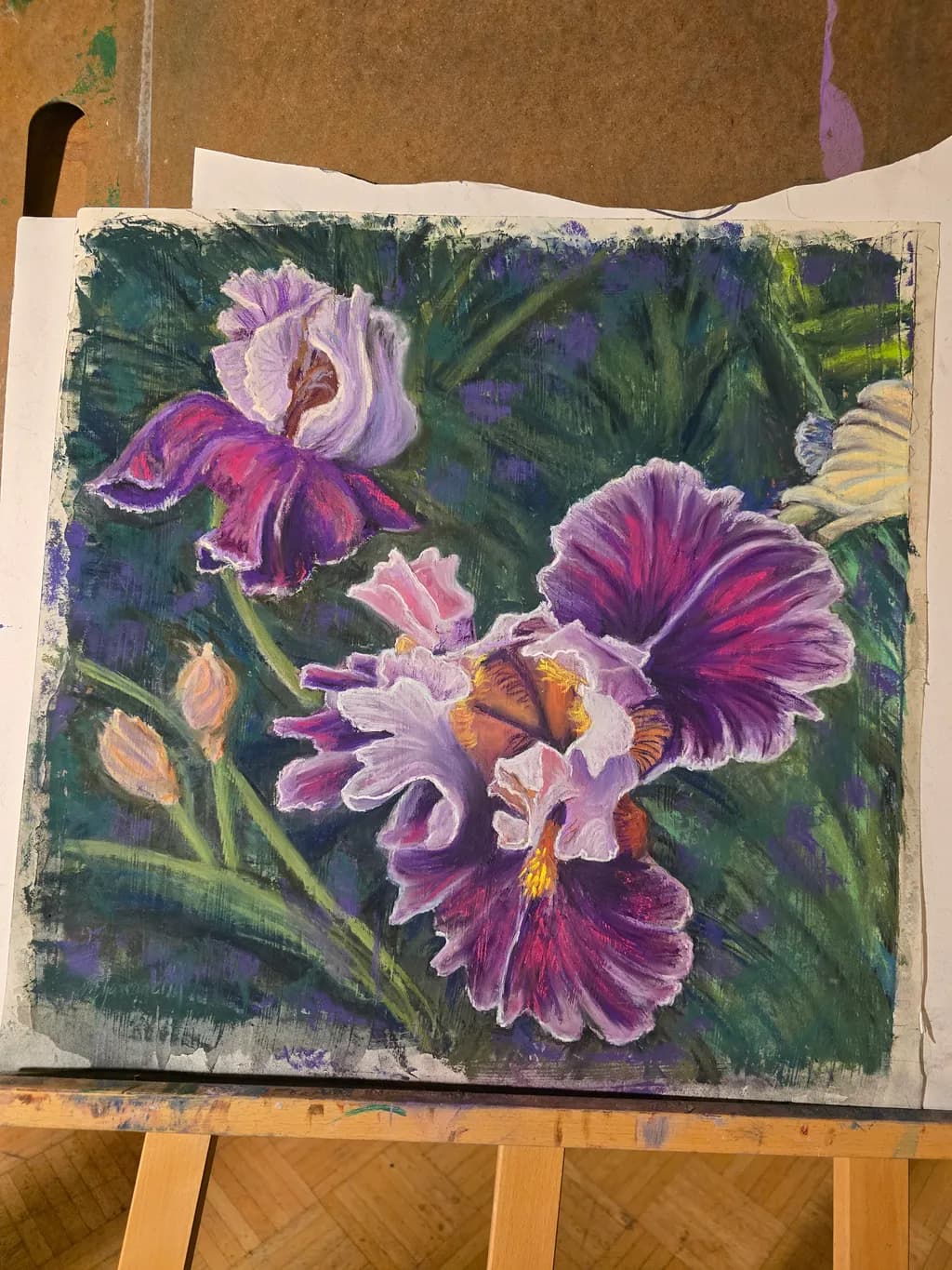 Iris Bloom Canvas