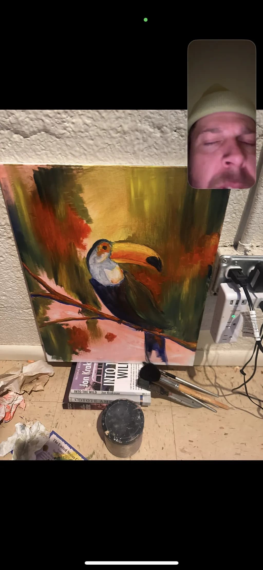Toucan on Branch