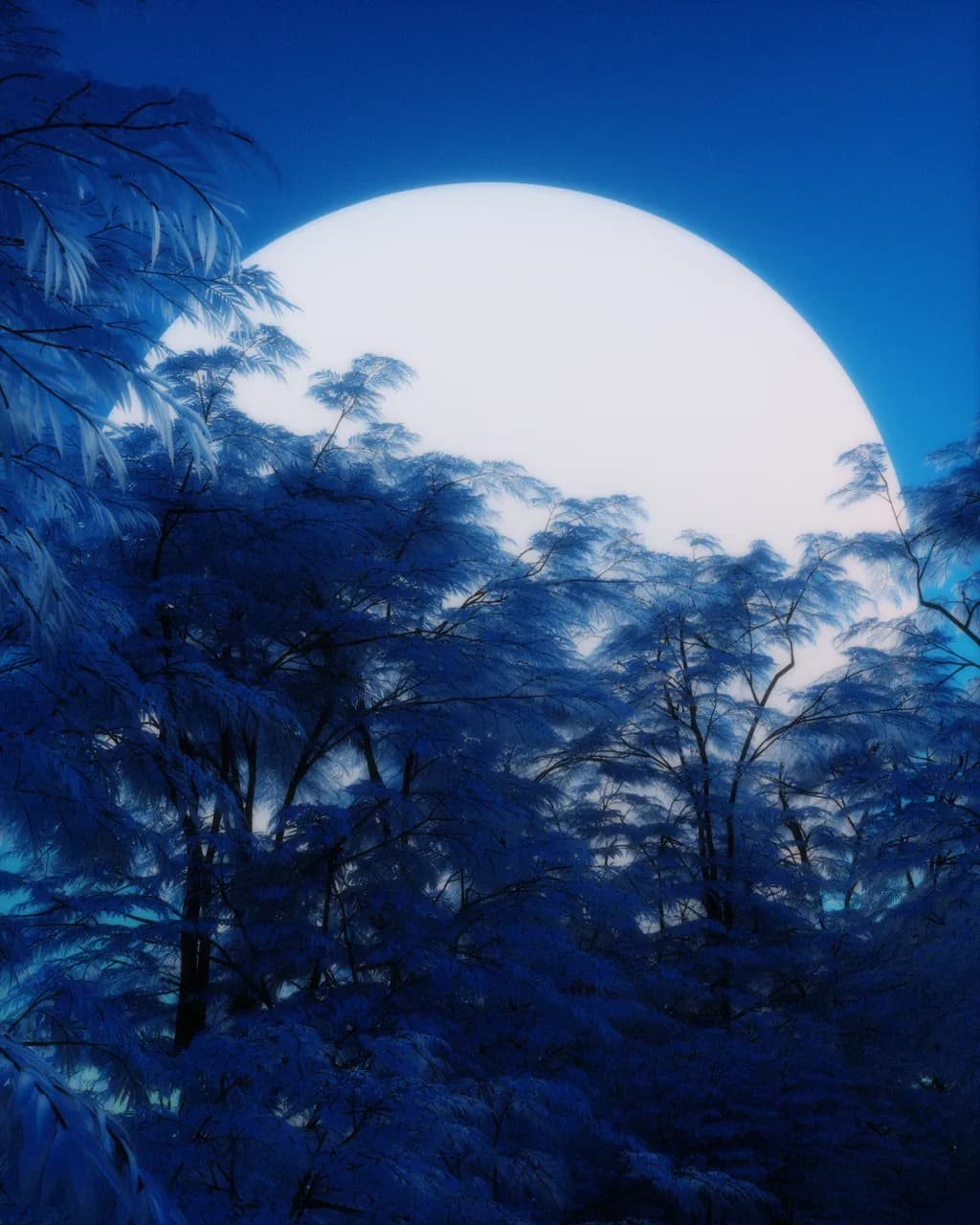 Moonlit Trees