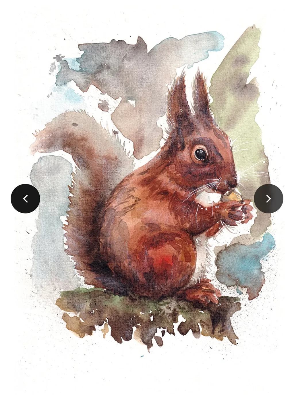 Squirrel Snack