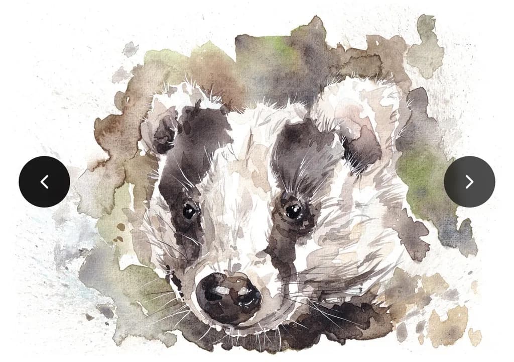 Badger Portrait