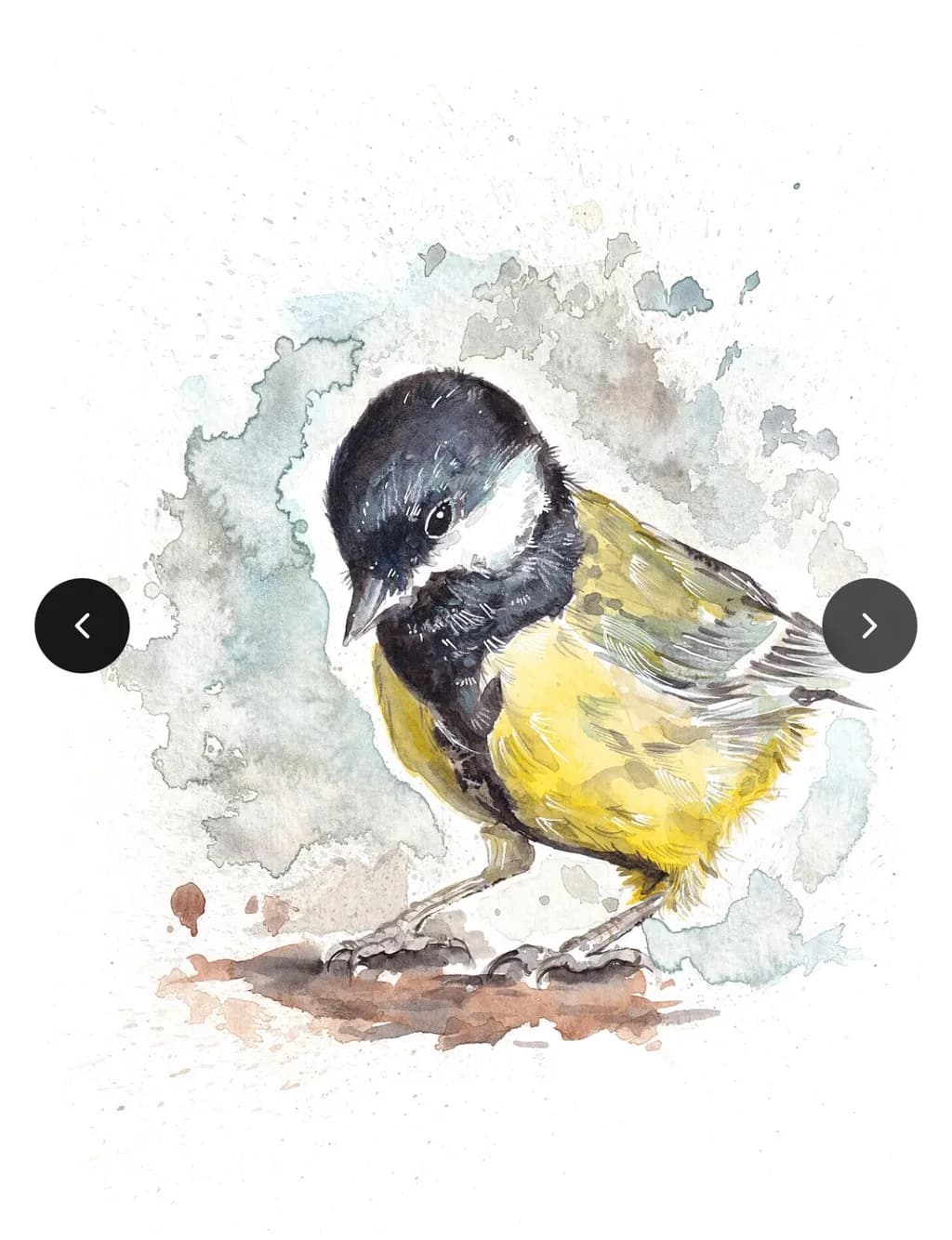 Yellow Bird Study