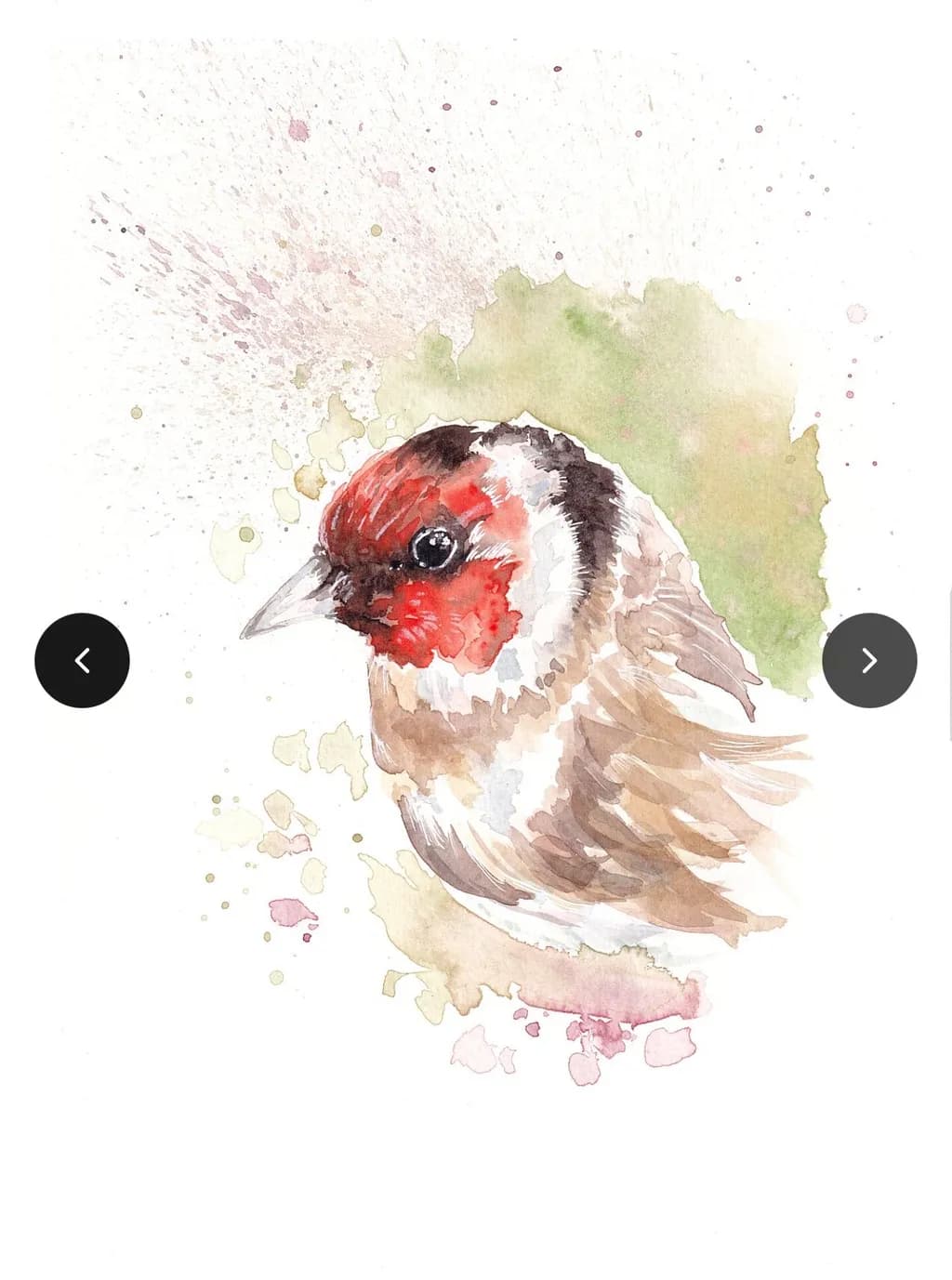 Goldfinch Portrait