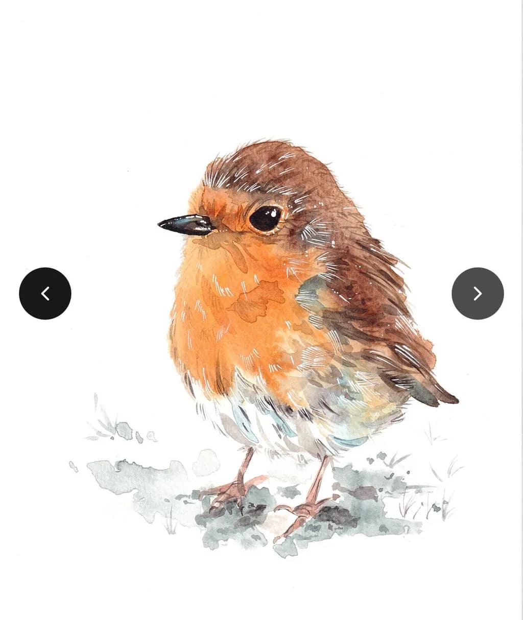 Robin Portrait