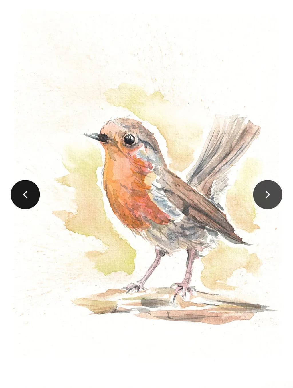 Robin Perch