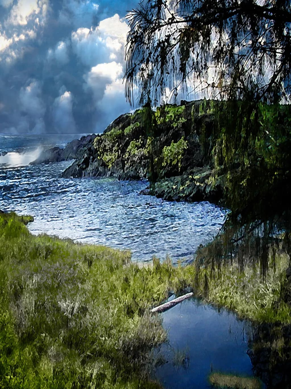 Afternoon Squall, Hilo