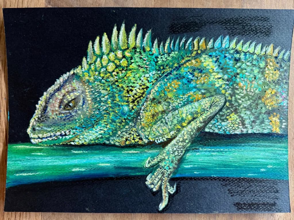 Spiny Lizard on Branch