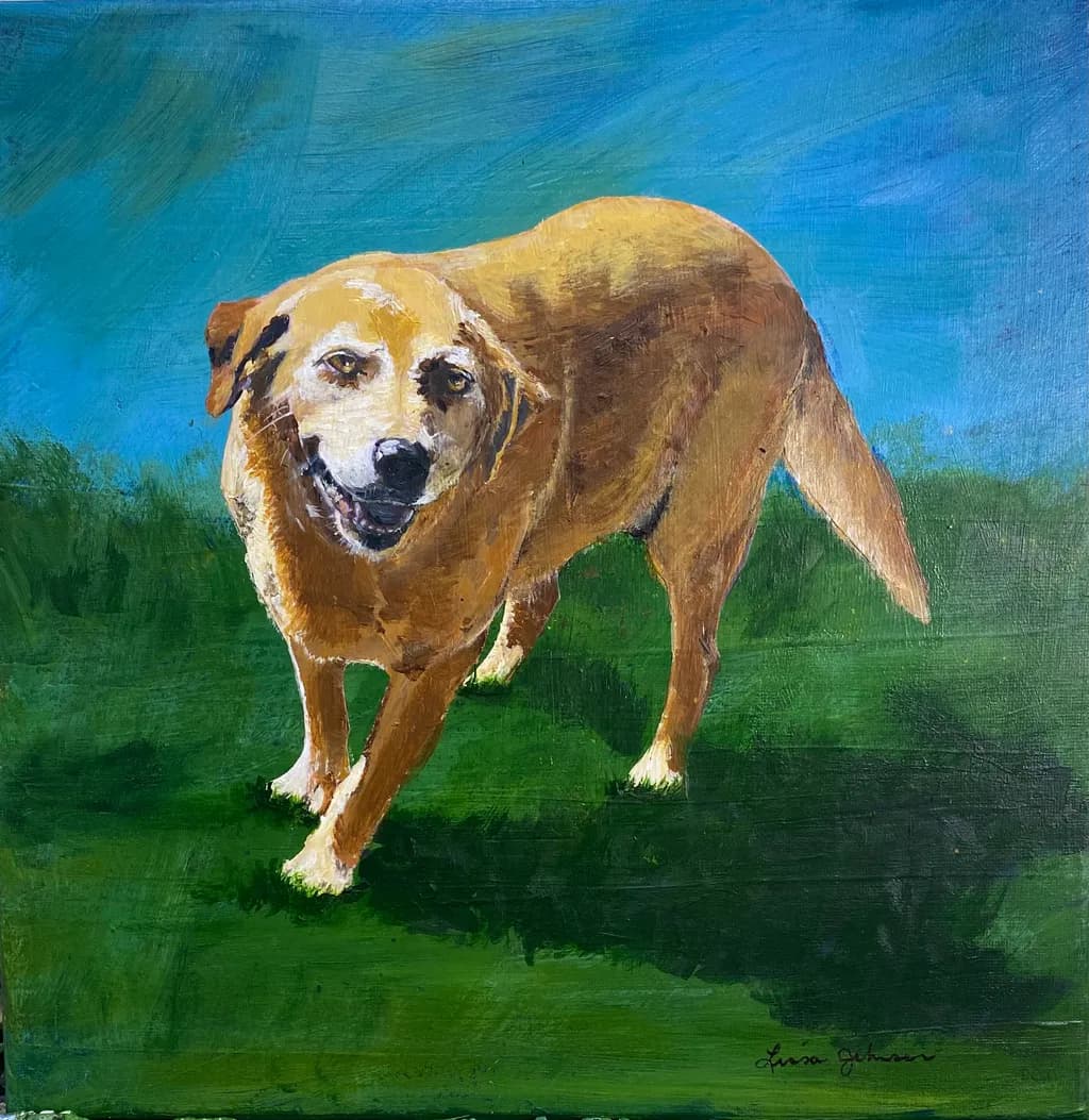 Golden Dog on Grass