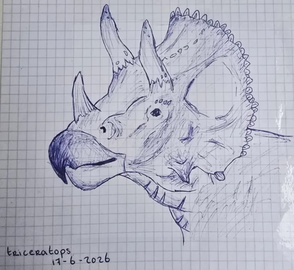 Triceratops Sketch
