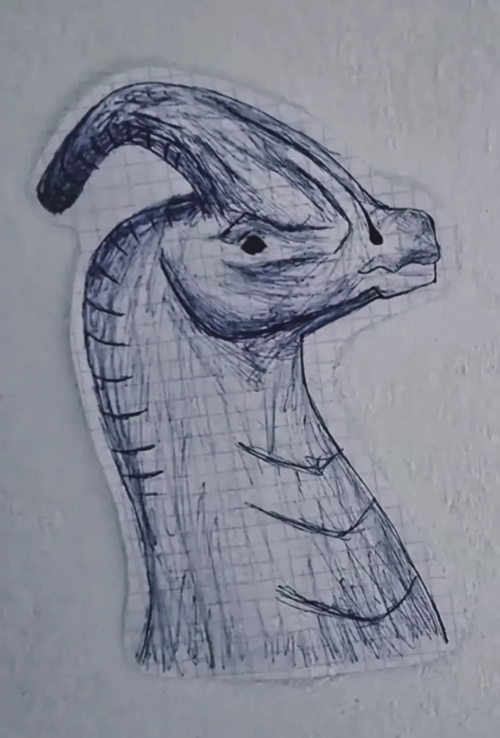 Dragon Head Sketch