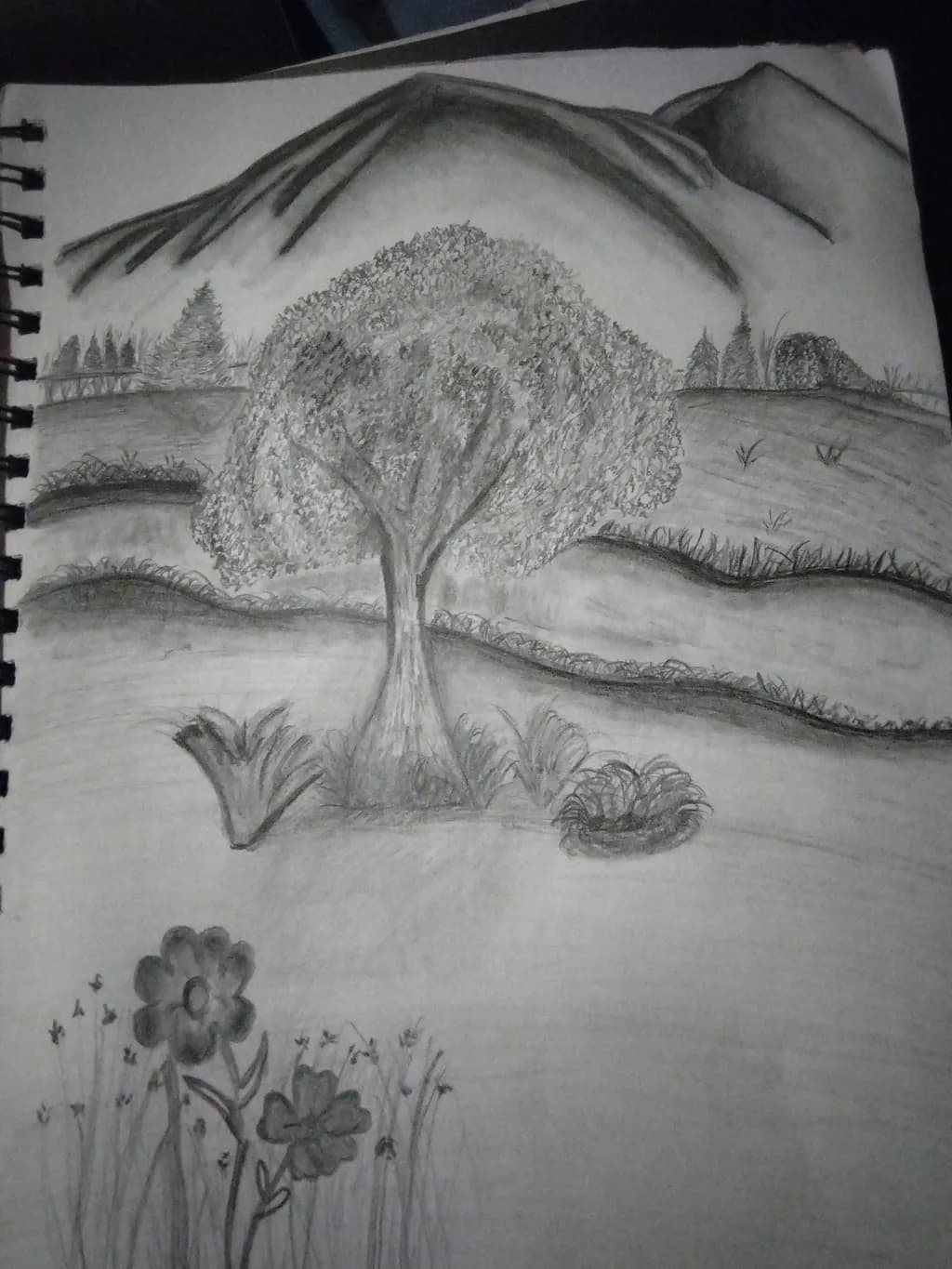 Mountain Tree Landscape