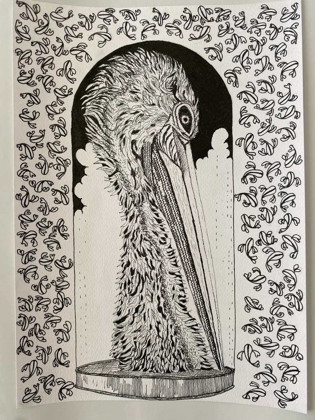 Pelican Portrait
