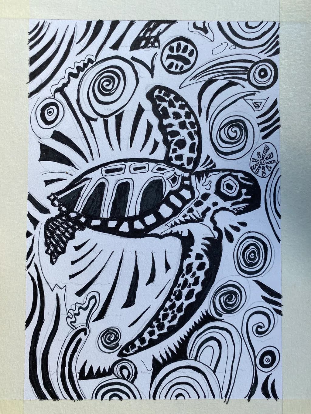 Spiral Turtle Design