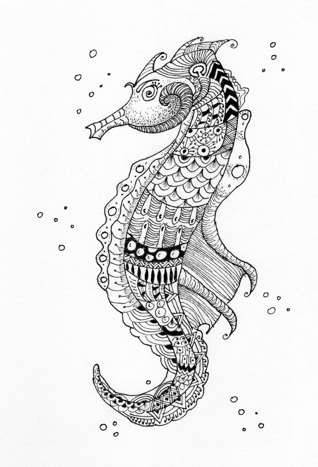 SeaHorse Drawing