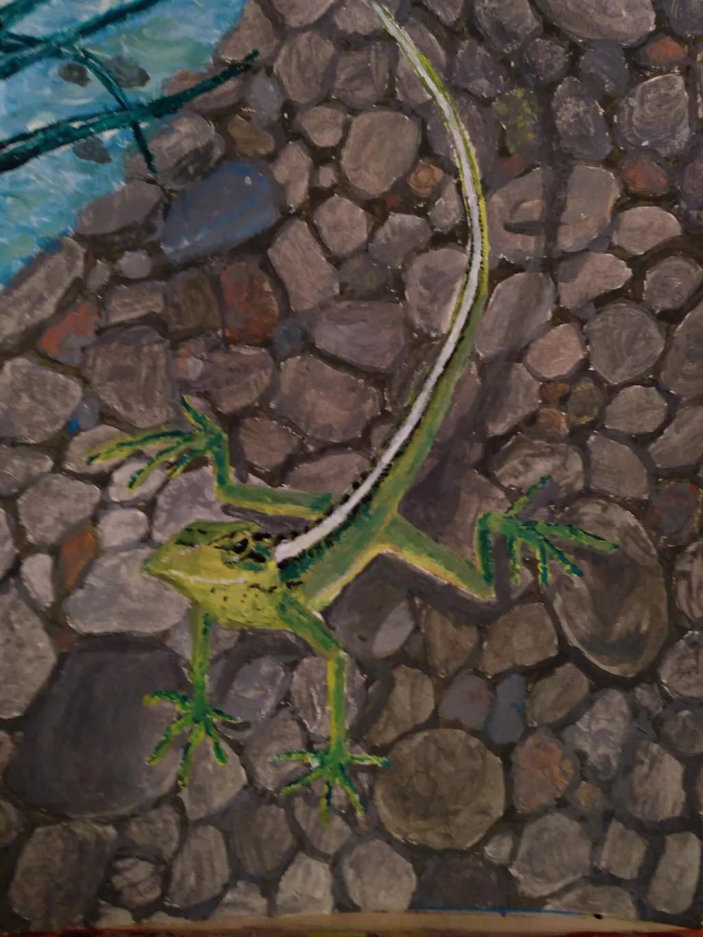 Lizard on Rocks